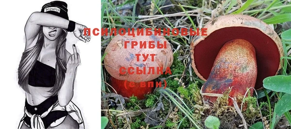 прущие крисы Алзамай