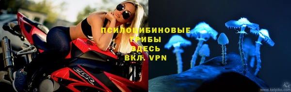 сатива Покров