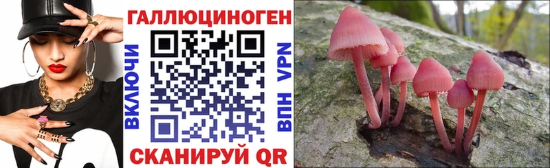 Галлюциногенные грибы мухоморы  Пикалёво 